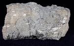 Hippurites (Vaccinites) cf. gosaviensis DOUVILLE 1891 - Bild © FossNet FossilienStore
